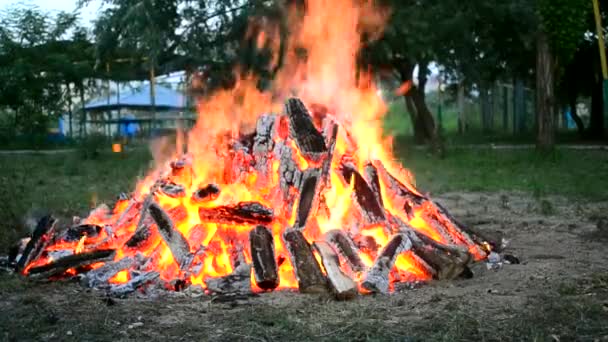 Una gran hoguera y un trozo de madera cae en el prado — Vídeos de Stock