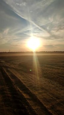 Güneşli yaz akşamında hasattan sonra toz bulutuyla kaplı bir tarla. Kirli buğday tarlası, orman çiftliği, ufuk çizgisi, mavi gökyüzü beyaz bulutlar, parlayan güneş. Tarım manzarası Dikey