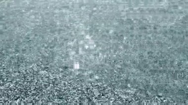 Sığ kumlu sahilde şeffaf temiz su ve güneşli yaz gününde deniz kabukları. Güneş suyun yüzeyinde parlıyor. Deniz kıyısında küçük dalgalar. Doğa arkaplanı. Doğal arkaplan.