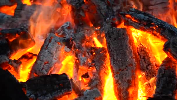 Embers and the fire close-up — Stock Video