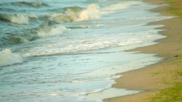 Olas marinas en el lado de la playa — Vídeos de Stock