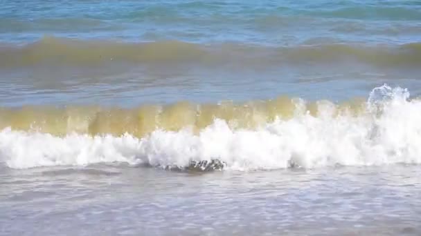 Sea waves muddy water — Stock Video