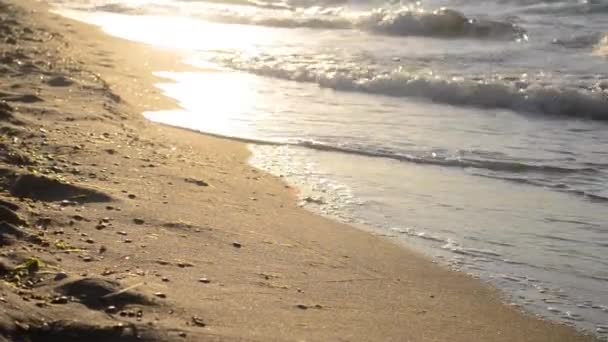 Solen reflekteras i vågorna som rullar på en sandstrand — Stockvideo