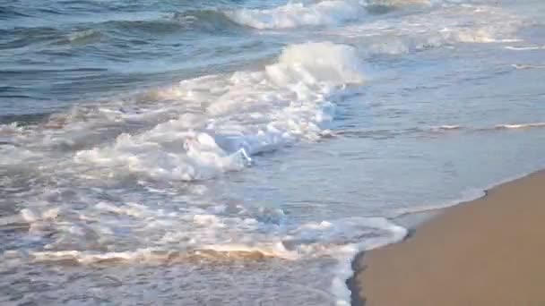 Ondas batendo em uma praia arenosa — Vídeo de Stock