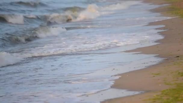 Soft and gentle sea waves — Stock Video