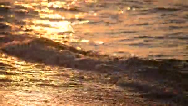 Le soleil se reflète dans les vagues de la mer — Video