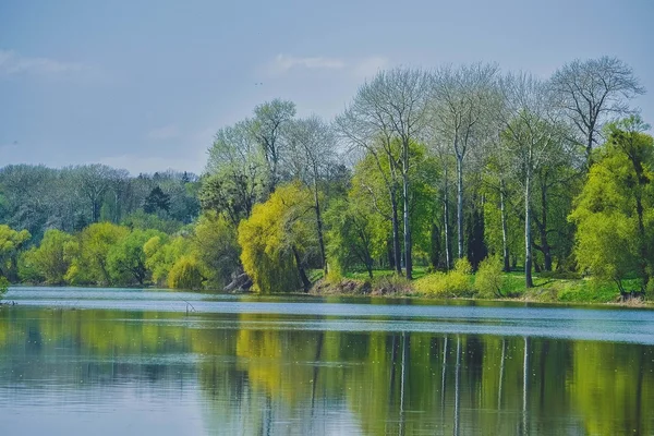 Árboles con follaje primaveral en la orilla del río — Foto de Stock