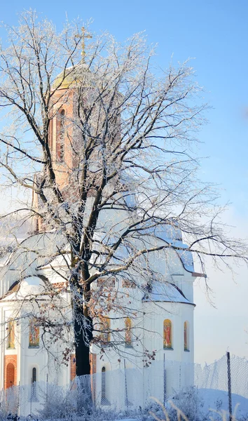 Kışın bir ağacın arkasında çapraz ile yüksek kilise — Stok fotoğraf