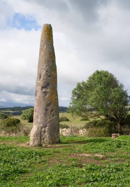 Sardinya Sardegna 'daki Menhir megalith taşı İtalya arkeoloji tarihi alanında duran büyük megalit taşı, Villa Sant' Antonio, Sardinya