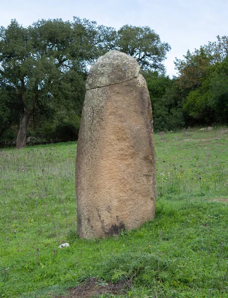 Menhir Megalith Stone Sardinia Sardegna Italy Big Megalith Stone Standing — Stock Photo, Image