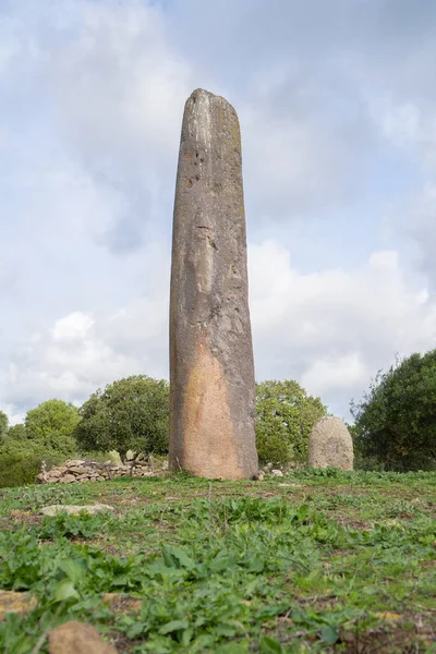 Menhir Megalith Stone Sardinia Cerdeña Italia Big Megalith Stone Standing — Foto de Stock