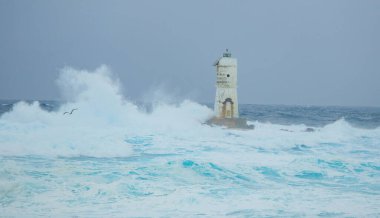Mangiabarche Deniz fenerine çarpan dalgalar; Scoglio Mangiabarche, Calsetta, Güney Sardunya