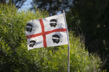 Sardunya bayrağı - dört bozkır