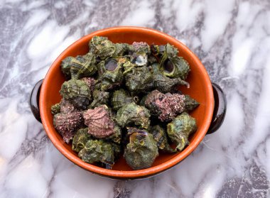 Freshly harvested bocconi sea snails resting in a rustic terracotta bowl
