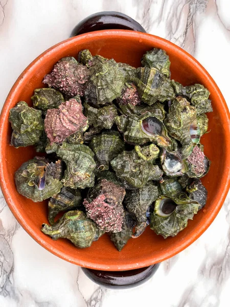 Freshly harvested bocconi sea snails resting in a rustic terracotta bowl