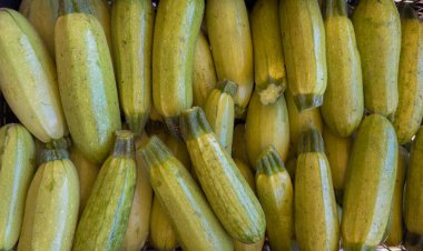 Taze yeşil kabakların yakın plan görüntüsü düzgün düzenlenmiş, renklendirilmiş.