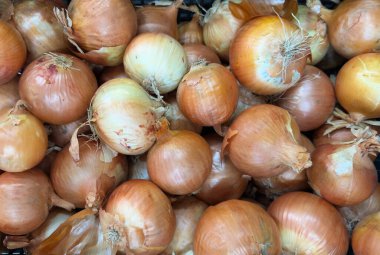 Yerel Pazar Gösterisinde Taze Altın Soğanlar