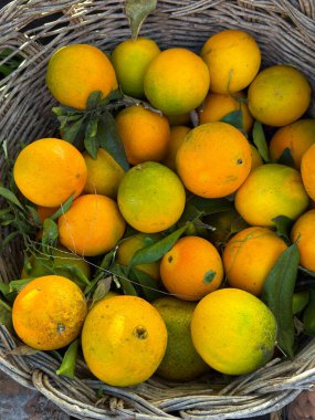 Kırsal Hasır Sepette Taze Portakallar