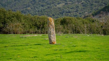 Antik Menhir Sardunya Kırsalında Ayakta Duran Taş Asuni