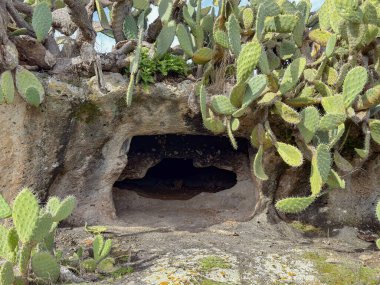 Burdaga Asuni Sahne Arkeolojik Alanında Tarih Öncesi Domus de Janas