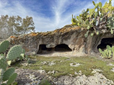Burdaga Asuni Sahne Arkeolojik Alanında Tarih Öncesi Domus de Janas