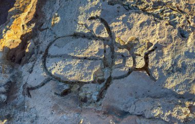 Sinis Yarımadası 'ndaki yıpranmış kıyı kayasına oyulmuş böcek şekilli oyma.