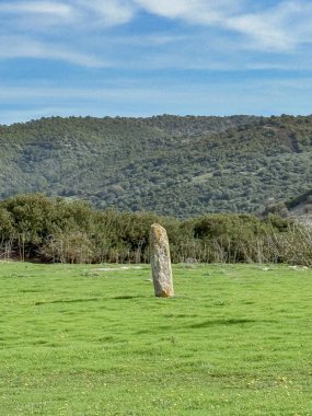 Antik Menhir Sardunya Kırsalında Ayakta Duran Taş Asuni