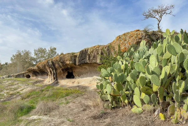 Burdaga Asuni 'den Antik Domus de Janas Sardinya kayalık arazisine oyulmuş