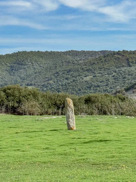 Antik Menhir Sardunya Kırsalında Ayakta Duran Taş Asuni