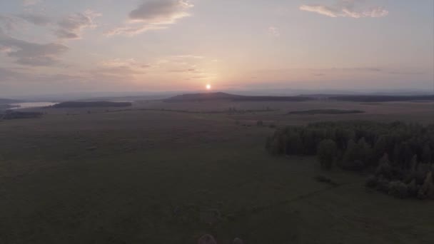 黄色のフィールドの夕日での飛行 — ストック動画