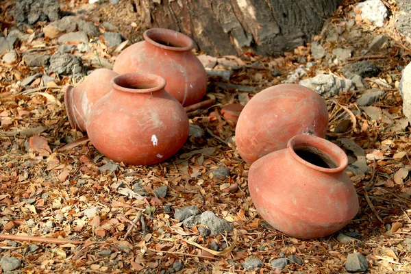 印度传统的陶瓷壶用茶杯保持在树边 — 图库照片