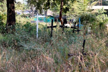 Yeşil çimlerin üzerinde haç ve mezar taşı olan Kızılderili mezarlığı manzarası