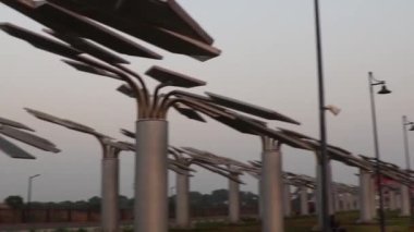 Şehir - Dandi, Devlet - Gujarat, Ülke - Hindistan Tarihi - 04 / 16 / 2020 güneş ağaçları Ulusal Tuz Satyagraha Anıtı 'nda