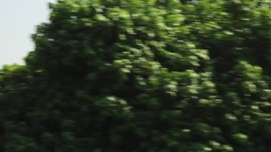 Ülke - BAE, Şehir - Sharjah, Tarih - 17-07-2021 Şeriat şehrinin hareket halindeki arabasından görüntüleri