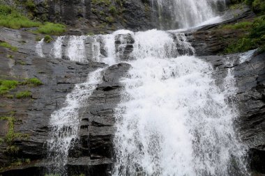 Kerala Hindistan 'daki kaya tepesinden (şelale) akan su manzarası