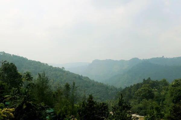 Areal View Mountain Green Trees Grass Blue Sky — Stockfoto