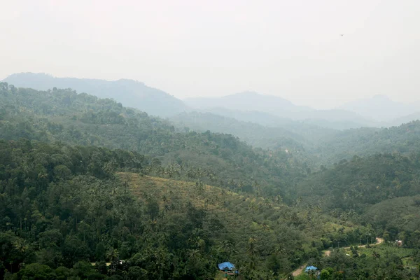 Areal View Mountain Green Trees Grass Blue Sky — Stock fotografie