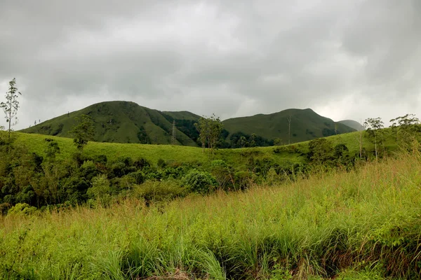 Una Vista Real Montaña Con Árboles Verdes Hierba Ella Con —  Fotos de Stock