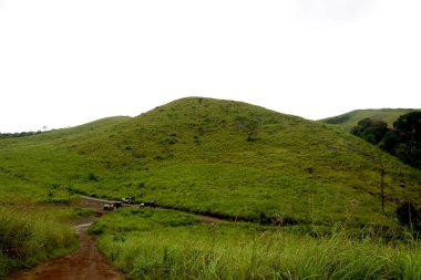 Yeşil ağaçlı yeşil dağ manzarası ve üzerinde mavi gökyüzü olan çimenler.