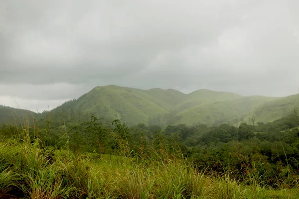 Vista Real Montanha Verde Com Árvores Verdes Grama Nele Com — Fotografia de Stock