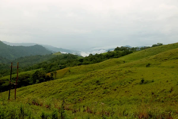 Una Vista Real Montaña Verde Con Árboles Verdes Hierba Ella —  Fotos de Stock
