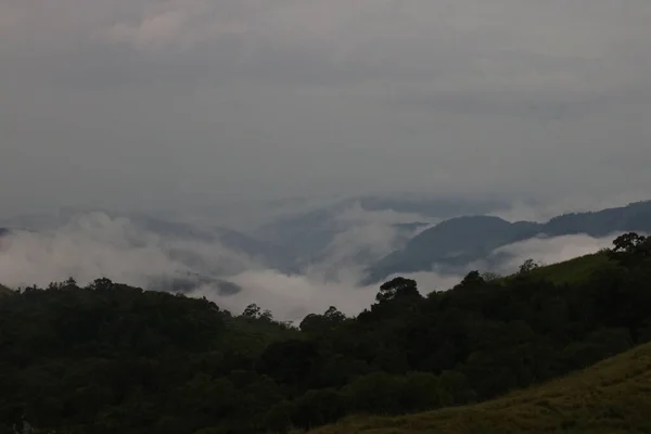 Una Vista Real Montaña Verde Con Árboles Verdes Hierba Ella —  Fotos de Stock