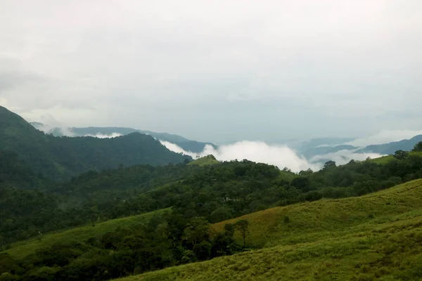 Vista Real Montanha Verde Com Árvores Verdes Grama Com Céu — Fotografia de Stock