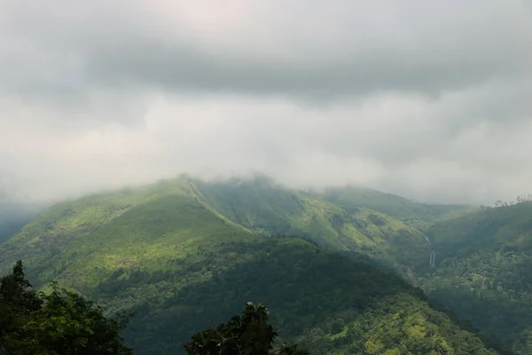 Una Vista Real Montaña Verde Con Árboles Verdes Hierba Ella — Foto de Stock