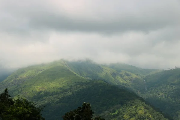 Una Vista Real Montaña Verde Con Árboles Verdes Hierba Ella —  Fotos de Stock