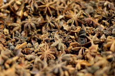 Garam Masala 'nın portre görünümü