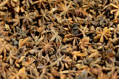 Hint baharatının portre görüntüsü (Garam masala)