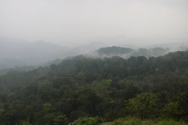 Kilátás Dombról Felhőkben Rejtőzködő Kerala India Hegyről — Stock Fotó