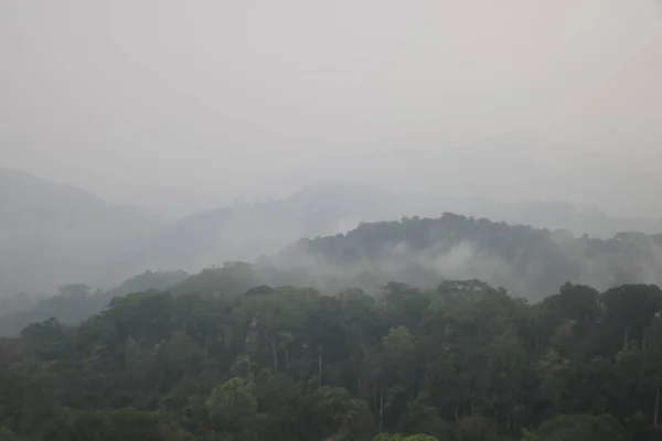 Uitzicht Vanaf Heuvel Van Heuvel Verbergen Wolken Bij Kerala India — Stockfoto