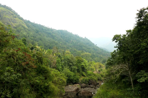 緑の木々と青空が広がる大きな丘の眺め — ストック写真